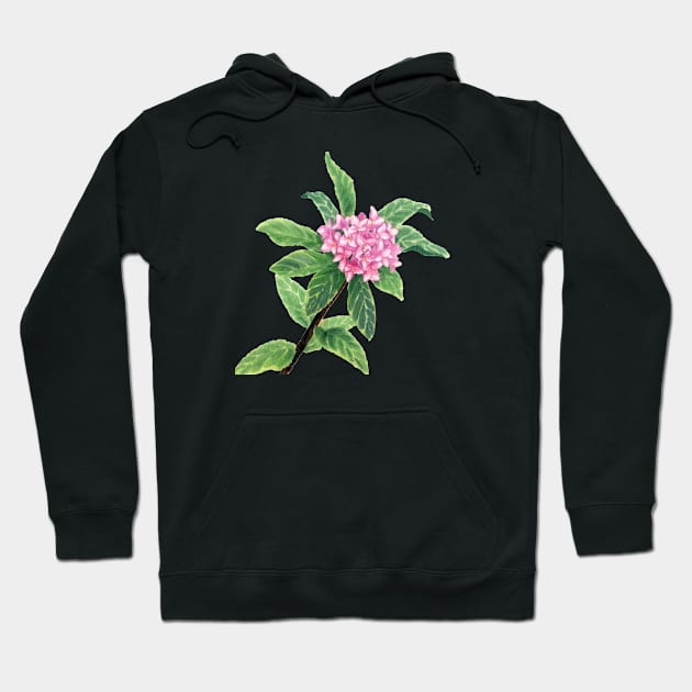 February 10th birthday flower Hoodie by birthflower